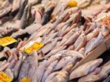 A bustling fish market in İzmir showcasing a variety of fresh seafood on ice.
